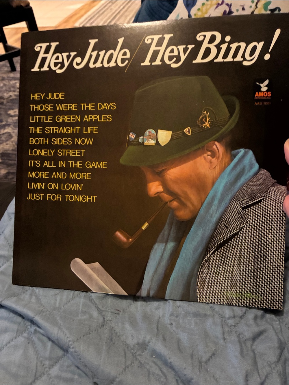 Hey Jude Hey Bing! Vinyl Record/Wall Art - Green, Black, Blue